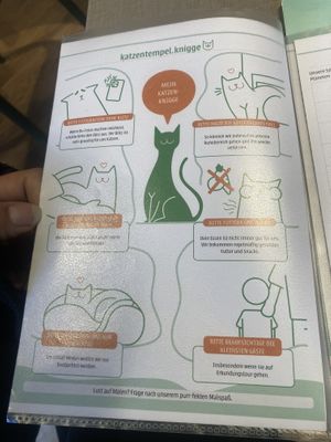   at Katzentempel - Freiburg in Freiburg