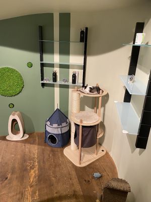   at Katzentempel - Freiburg in Freiburg