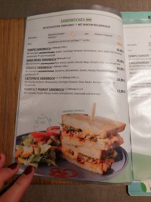  at Katzentempel - Freiburg in Freiburg