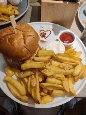  at Katzentempel - Freiburg in Freiburg