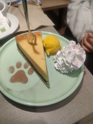  at Katzentempel - Freiburg in Freiburg