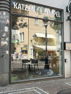 Front view of restaurant   at Katzentempel - Freiburg in Freiburg