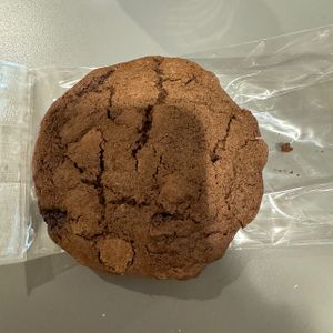 vegan cookie (just okay — nothing special)   at SEA - Costa Coffee - North Terminal in Seattle
