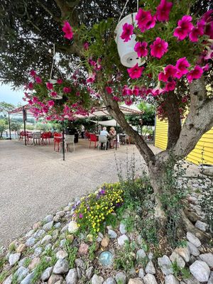  at Bistrot des Terrasses in Aniane