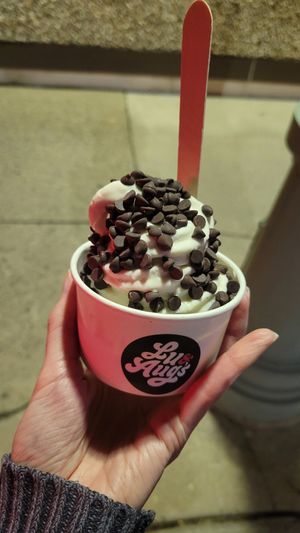 5 Oz Oatly vanilla soft serve + chocolate chips ($6.00 + $0.50 = $6.50), May 2024 at Lu & Aug's in Ardmore