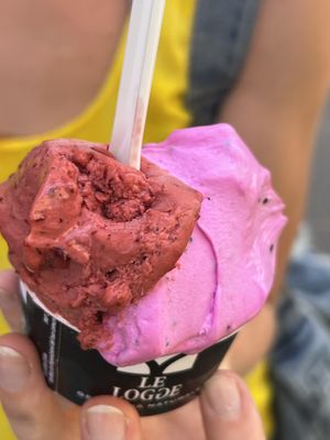   at Gelateria Le Logge in Orbetello