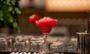  at The Cove in Busum