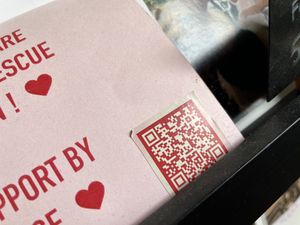 qr dog rescue mission Instagram page  at Stella Specialty Coffee Bar in Brussels