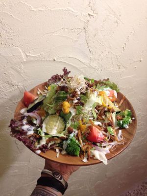 salad plate at Vespera's Falafel in Tokyo