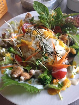 salad plate at Vespera's Falafel in Tokyo
