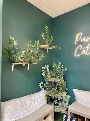 Inside the count lounge   at Purrista Cat Cafe in Erie