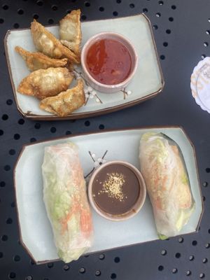 Gyoza und Sommerrollen  at Sushiki-Darmstadt in Darmstadt
