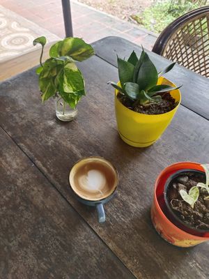  at Aum Cafe  in Varkala