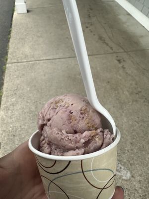 acai berry crumble vegan ice cream  at Moo's Place Homemade Ice Cream in Derry