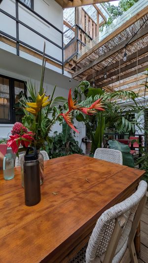  at La Botanica Hotel in San Juan