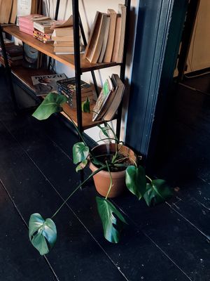  at Viya Kitap Kafe Yemek in Trabzon