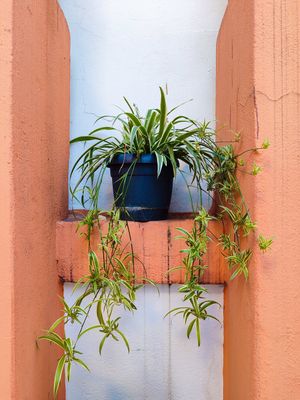  at Viya Kitap Kafe Yemek in Trabzon