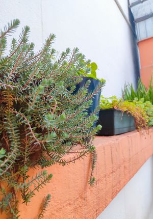  at Viya Kitap Kafe Yemek in Trabzon