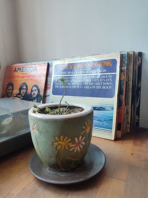  at Viya Kitap Kafe Yemek in Trabzon