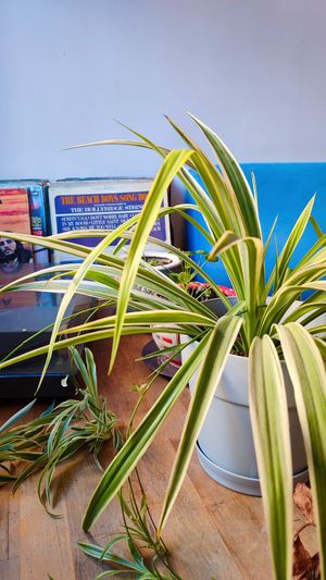  at Viya Kitap Kafe Yemek in Trabzon