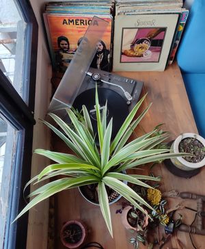  at Viya Kitap Kafe Yemek in Trabzon