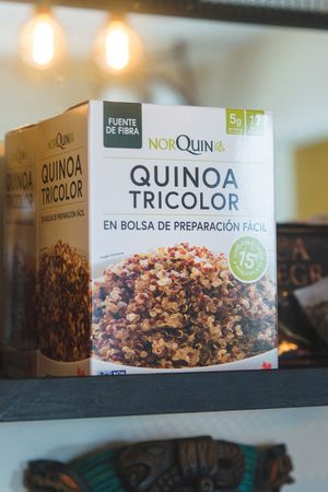  at La Hoja Verde in Tulum