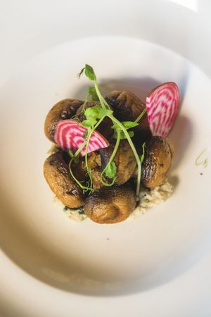  at La Hoja Verde in Tulum