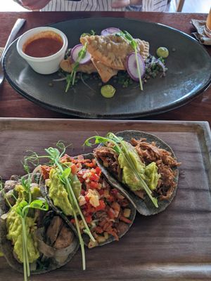 TRIO DE EMPANADAS $ 170 and TRILOGIA DE TACOS $ 155 at La Hoja Verde in Tulum
