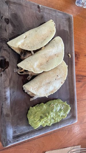 Hongos quesadillas  at La Hoja Verde in Tulum