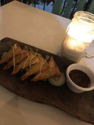 wontons at La Hoja Verde in Tulum