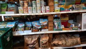 dog food - from small treats to 14kg packs at Dr. Pogo in Berlin