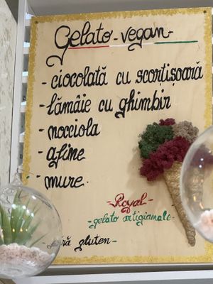 Vegan gelato menu  at Royal Gelato in Brasov