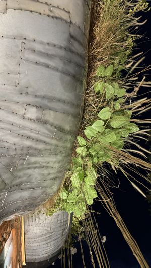 Front of the building!  at Hum Vegetarian - District 3 in Ho Chi Minh City