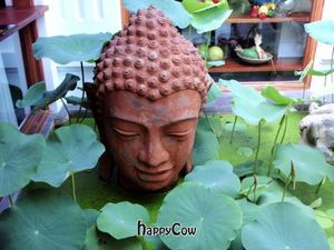 A detail from Hum Restaurant's peaceful courtyard garden. at Hum Vegetarian - District 3 in Ho Chi Minh City