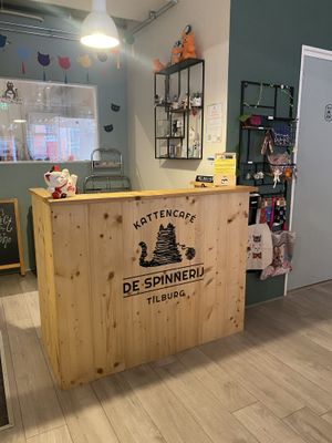   at Kattencafé De Spinnerij in Tilburg