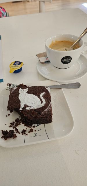  at Kattencafé De Spinnerij in Tilburg