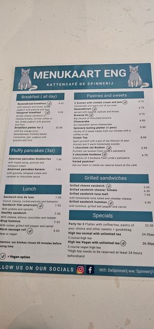  at Kattencafé De Spinnerij in Tilburg