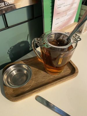 Yea  at Kattencafé De Spinnerij in Tilburg