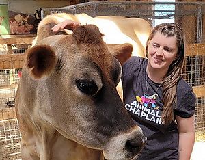  at The Night Sky Garden in Denver