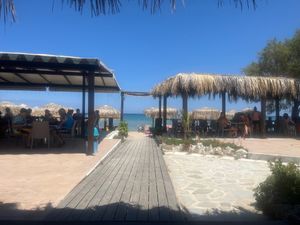  at Palm Tree   in Zakynthos