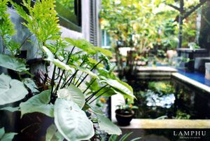 Relax atmosphere at Samui Health Shop by Lamphu in Koh Samui