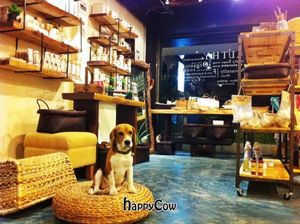 My (dog) little corner at Samui Health Shop by Lamphu in Koh Samui