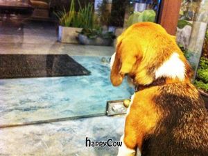 Will wait ... at Samui Health Shop by Lamphu in Koh Samui