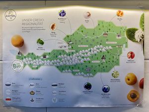 Where the products are from  at Eiswerk Bio Eisladen in Salzburg