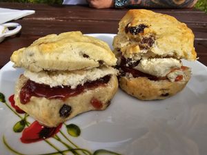 Vegan scones and home made vegan clotted cream at Rylstone Tea Gardens in Shanklin