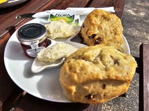 Vegan cream tea at Rylstone Tea Gardens in Shanklin