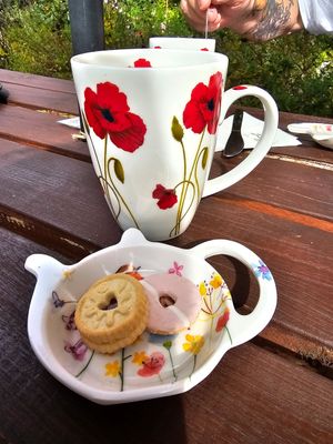 Mini party rings, jammy dodgers served with hot drinks at Rylstone Tea Gardens in Shanklin