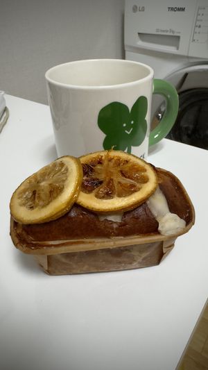 Lemon cake which was oily and had a weird after taste  at Veggie Chan - 베지찬 in Seoul