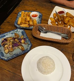 Fried eggplant, springrolls, Rice and potato wedges  at 1511 Coconut Grove in Tioman Island