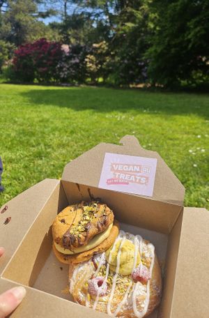 Pistachio sandwich cookie & coconut/raspberry/pistachio pastry at The Pie Box Cafe in Cardiff